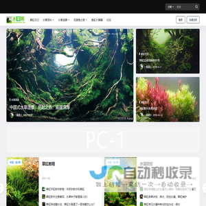 水草网 – 水草造景-水草百科-水草爱好者之家！